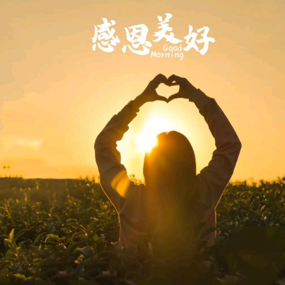 在远方！