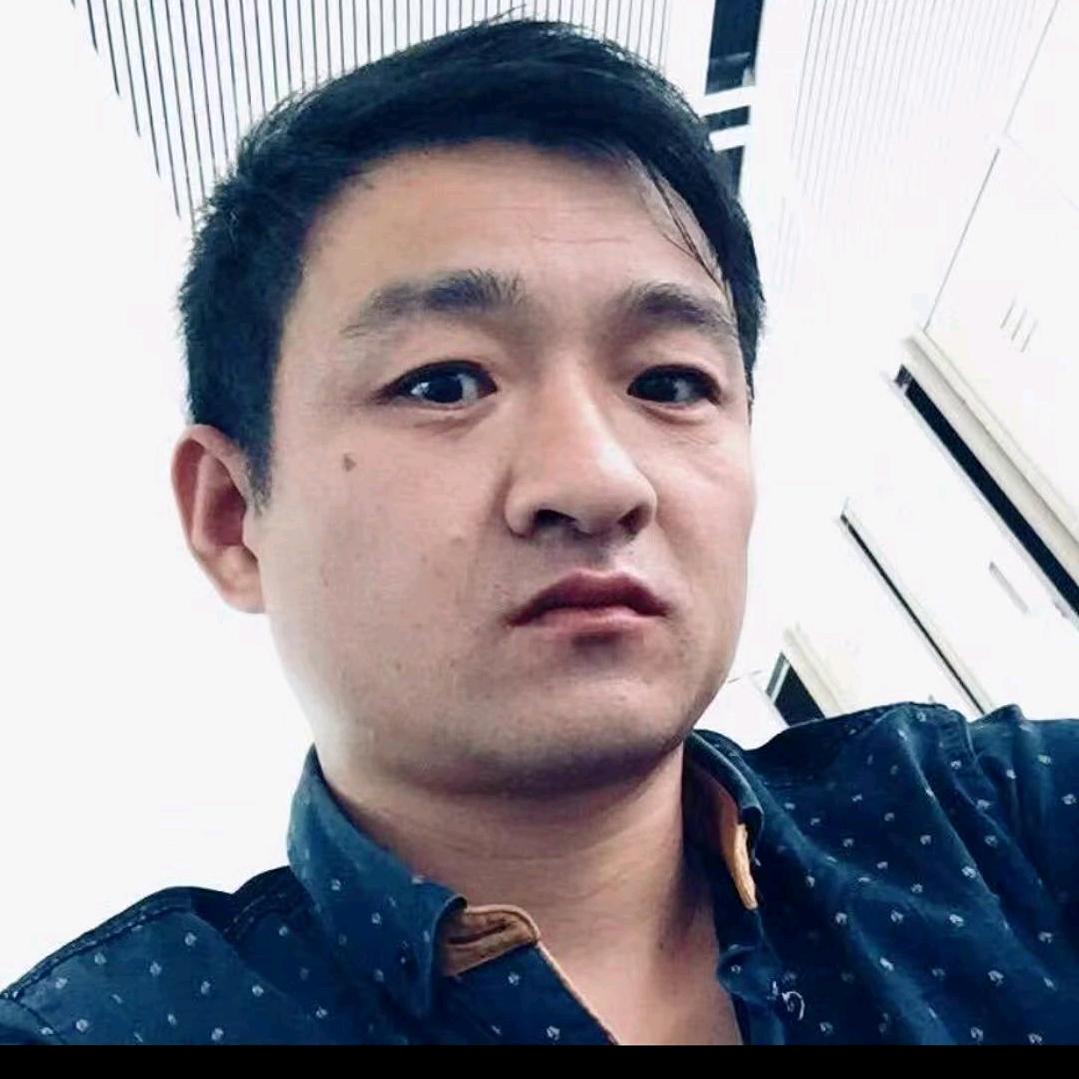 热烈的野马