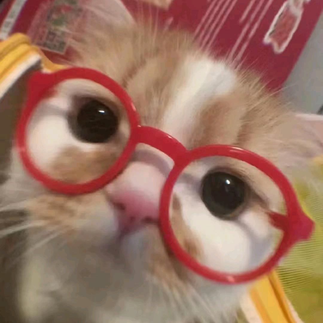 秋