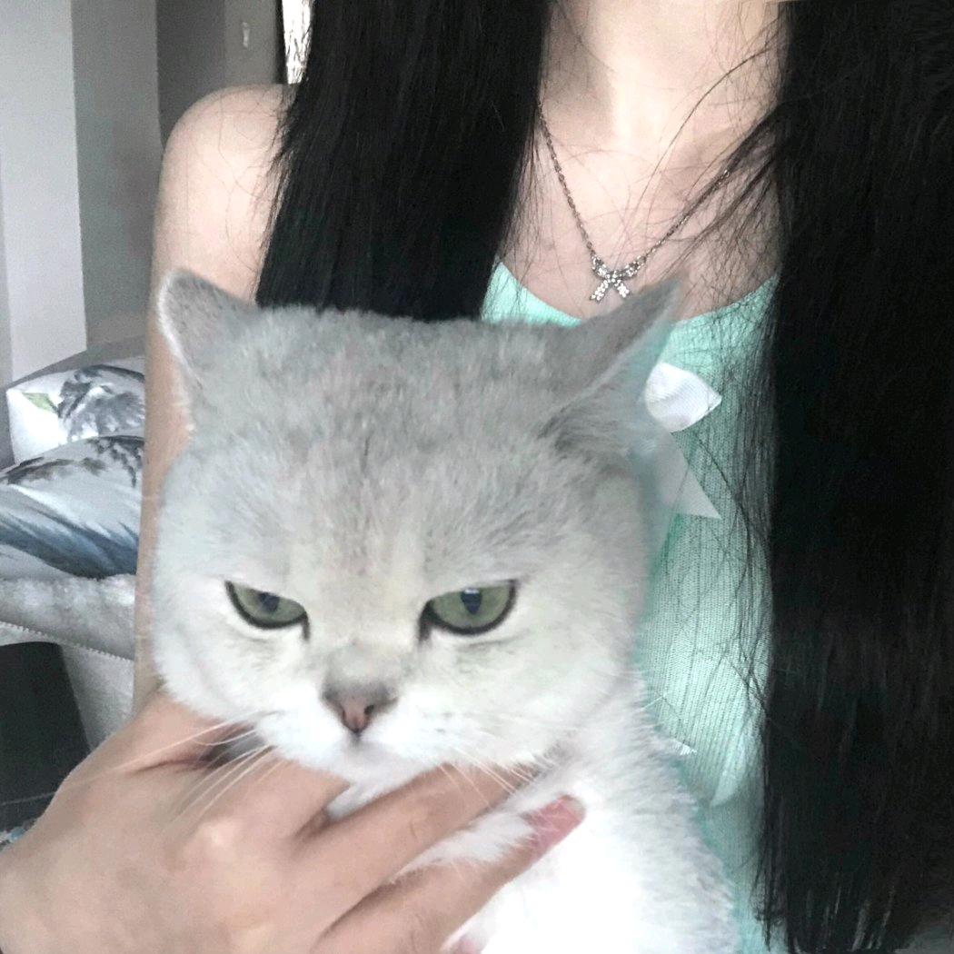 珠海市纳迎网络传媒有限公司纳迎-司情