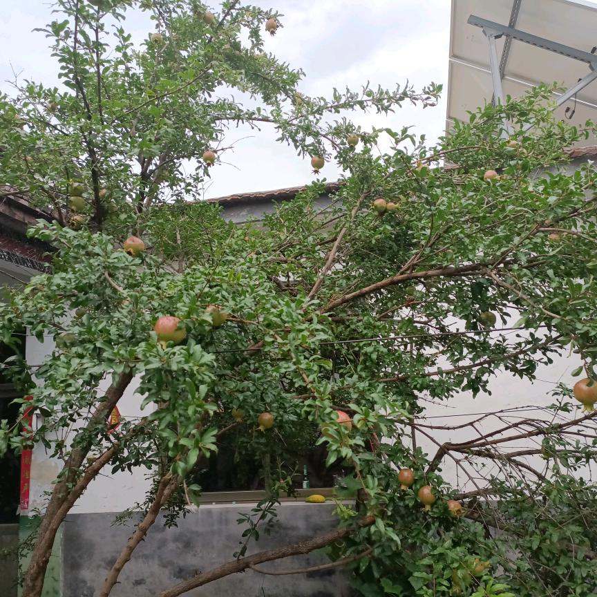 用户5537746815959