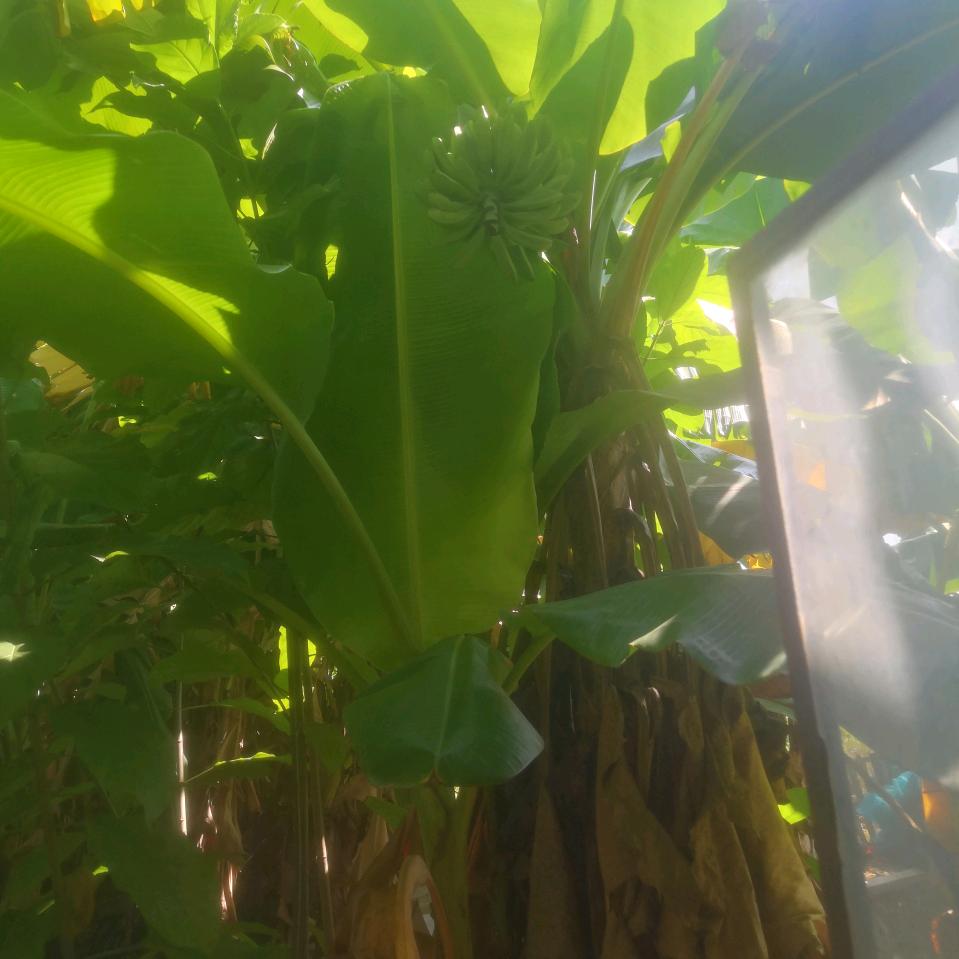永盛