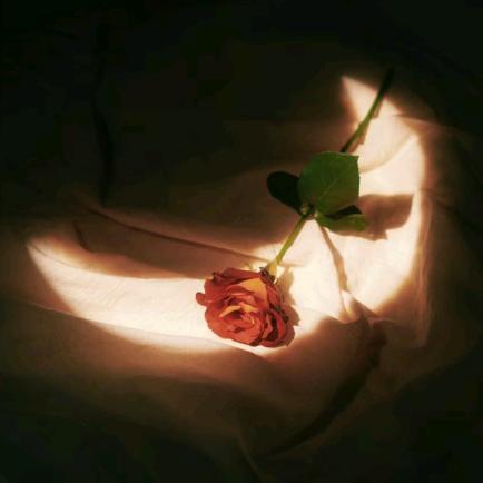 花月杀手