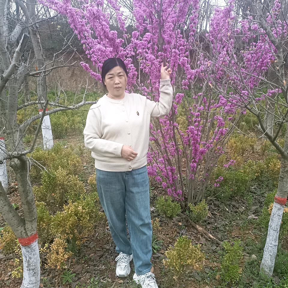 栀子花开，每天不定时直播