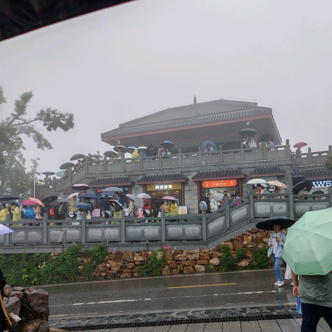 丨随风飘扬🦭