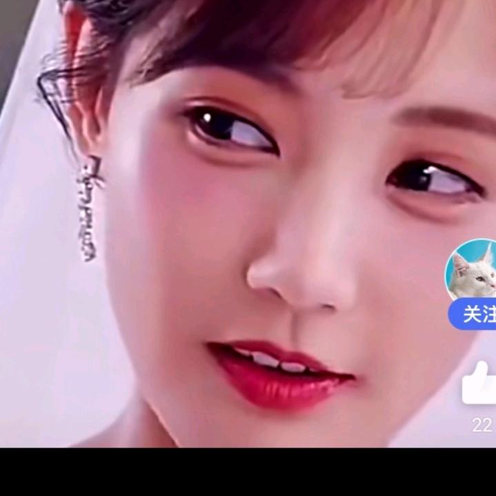 十里平湖霜满天