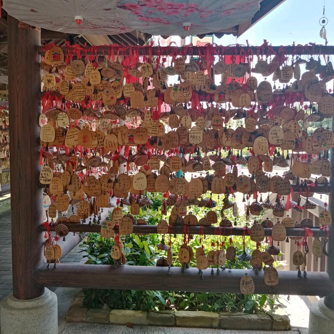 广西撞死四只鸡