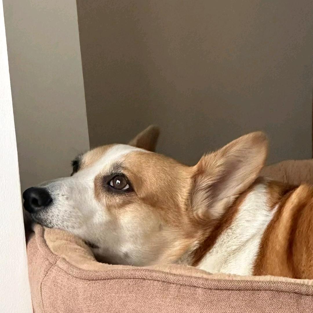 游山玩水喝喝吃吃