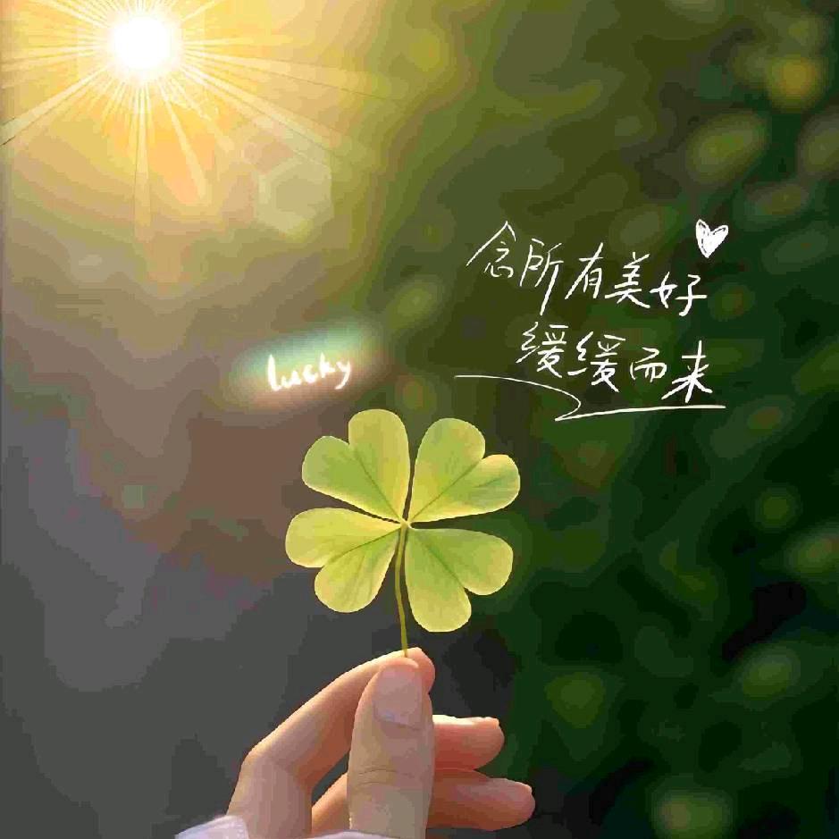 🍀 时光清浅