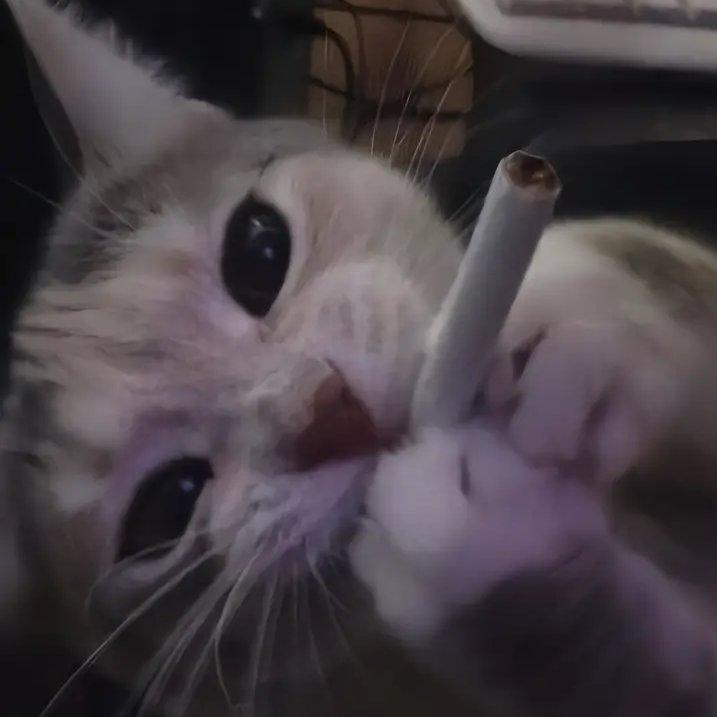 老公带小三出走的那个雨夜泪水打湿了麦当劳