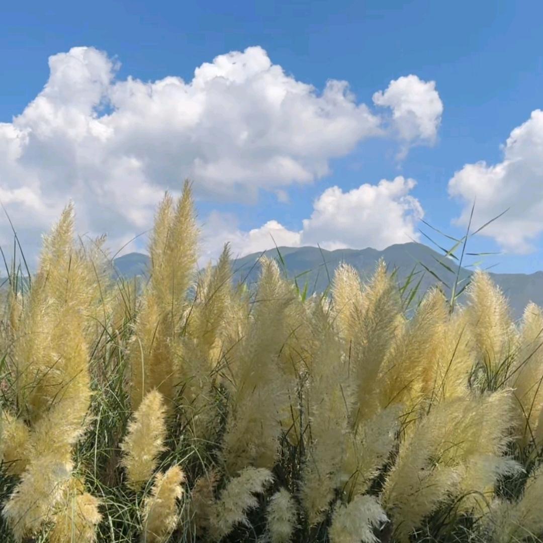 生活小百科