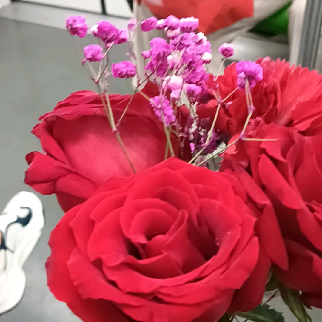 芳芳我爱你