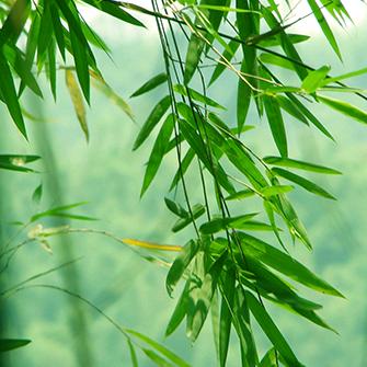 简单人生《拒绝私聊》