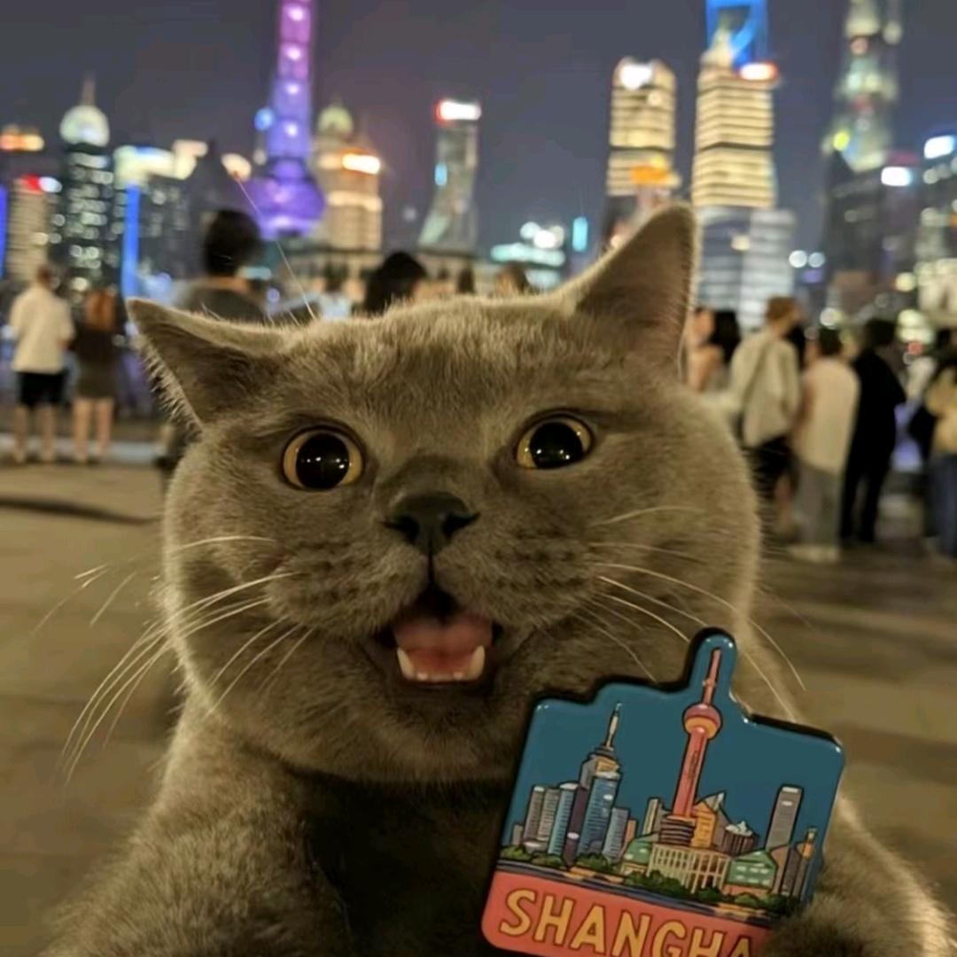 鶴飞.