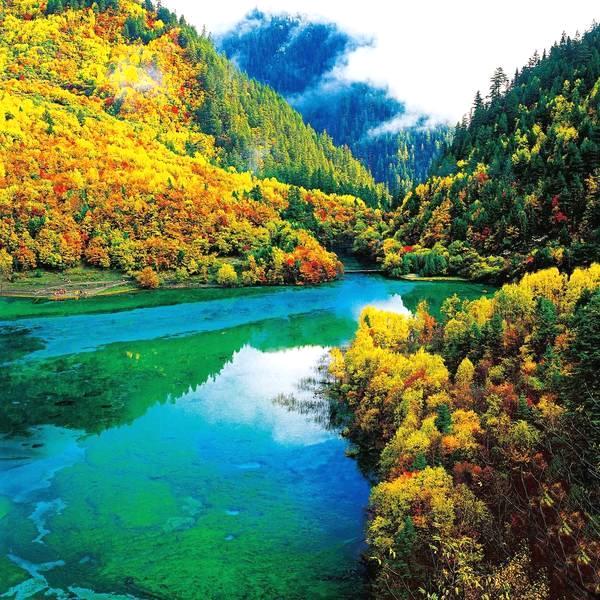 山景思维