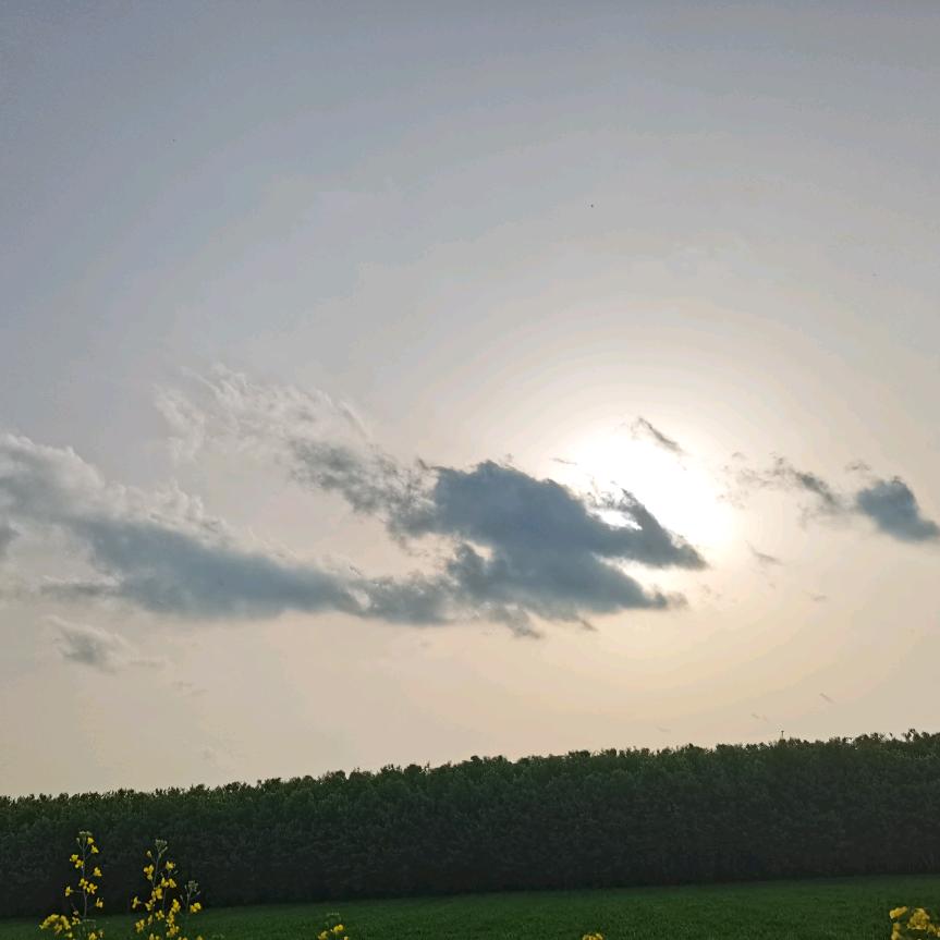 晴天。
