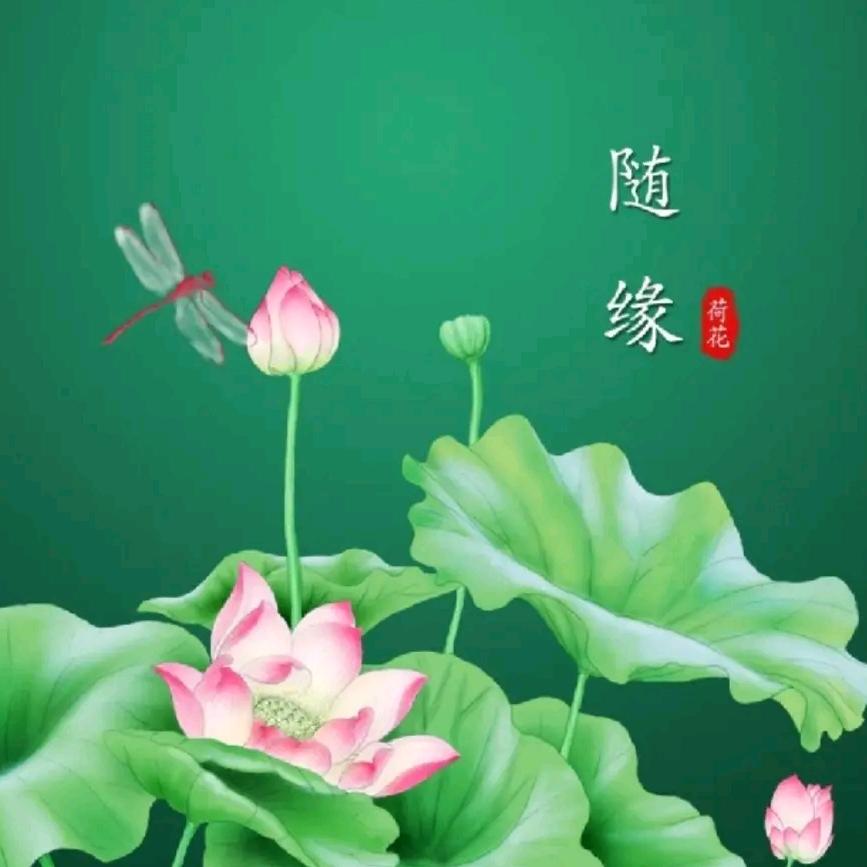 心宽是褔，看淡为乐，一切随缘，周俊单身