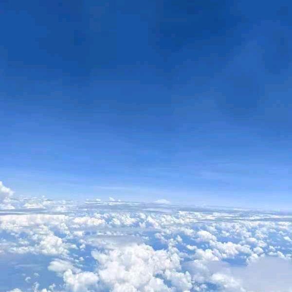 花晨月夕