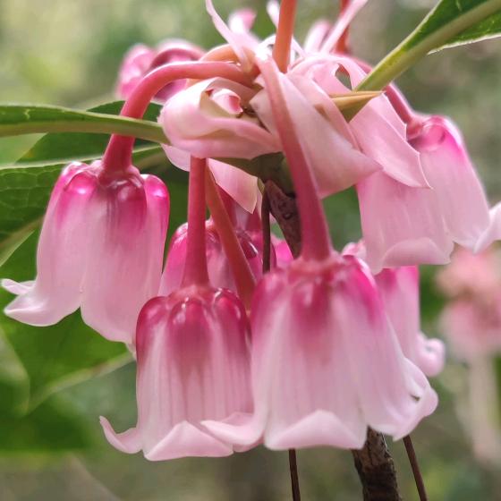 ✨✨✨✨✨✨✨✨🎇随我心愿🎇✨✨