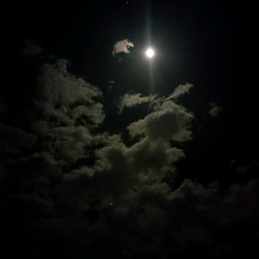 自由飞翔呐喊尖叫嘶吼