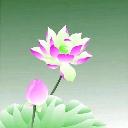 道慧