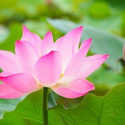 m头像