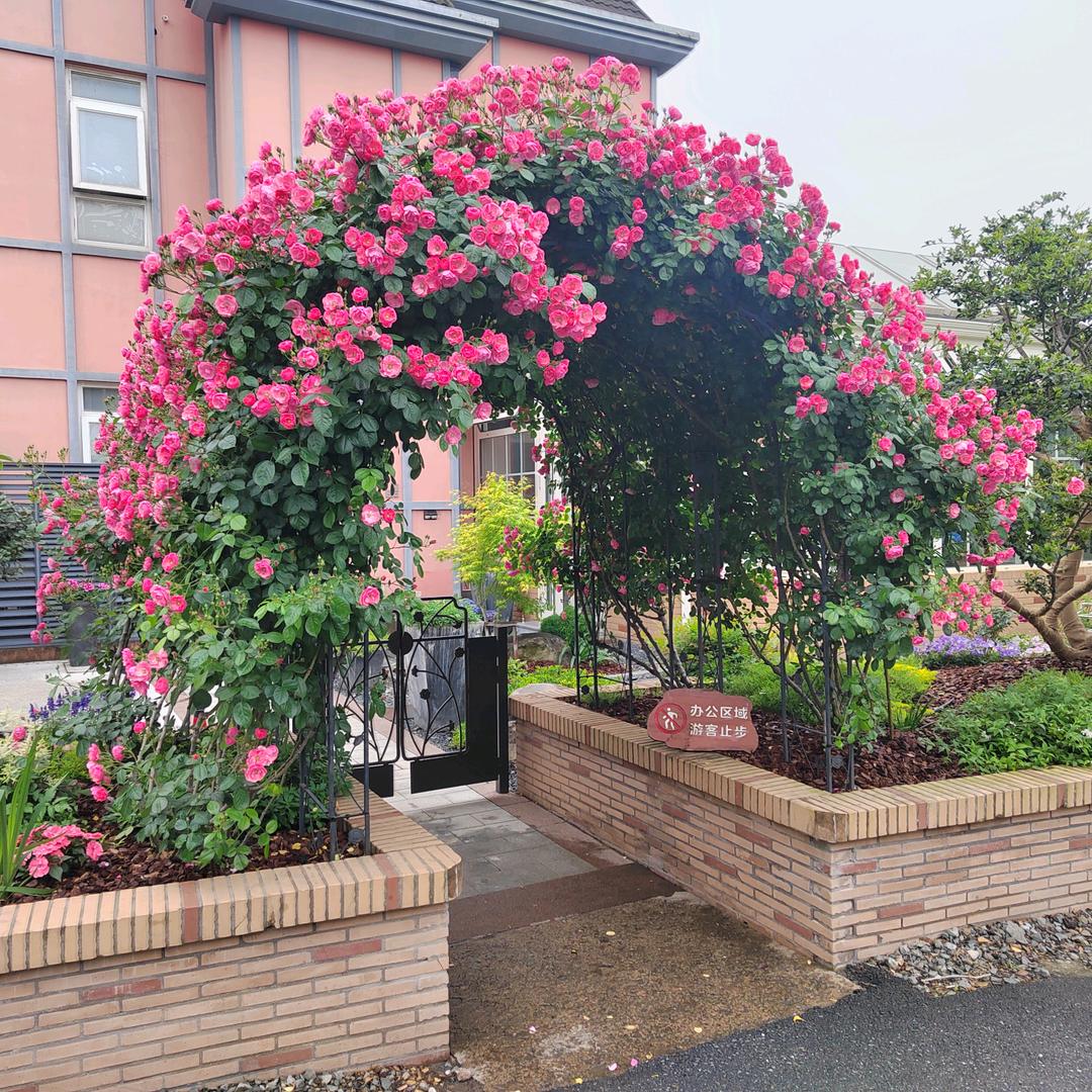 微风花卉店