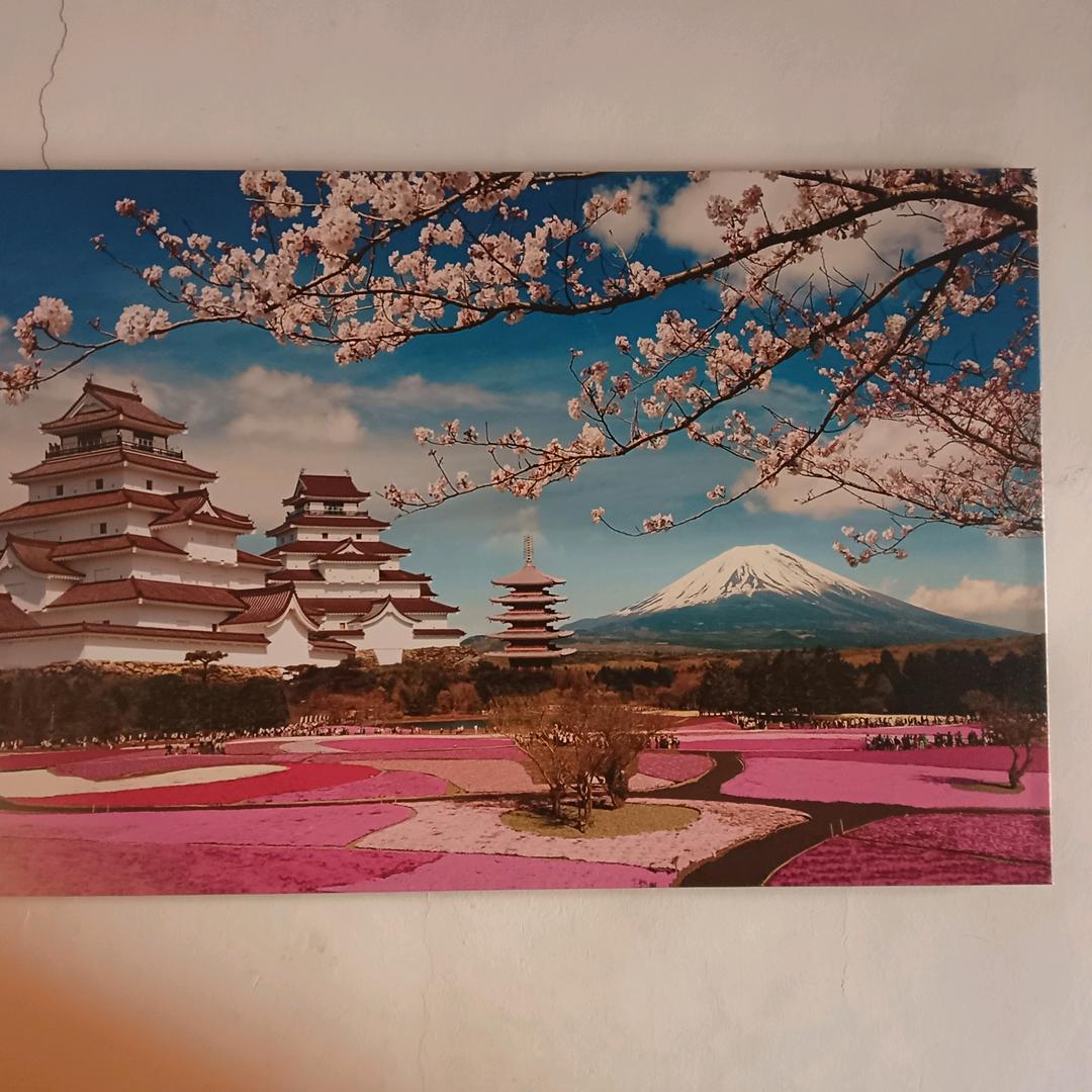 一世情深