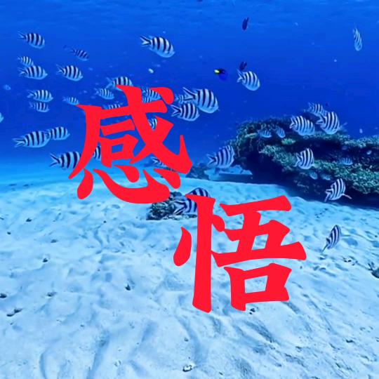 缘来缘趣