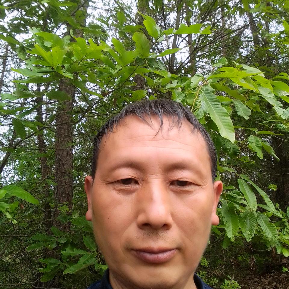 健康来自食品