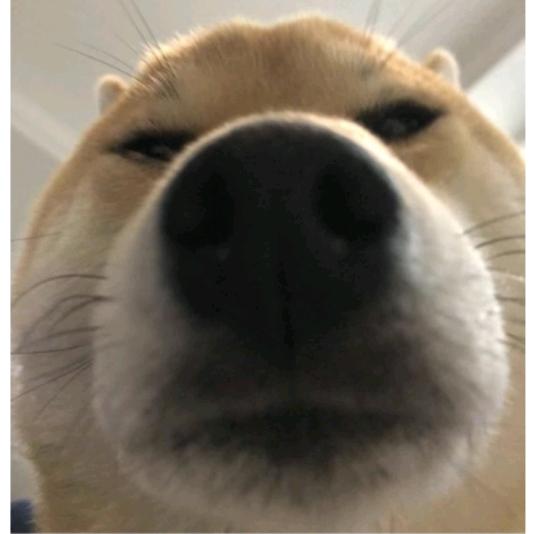 你好r壹叁泗