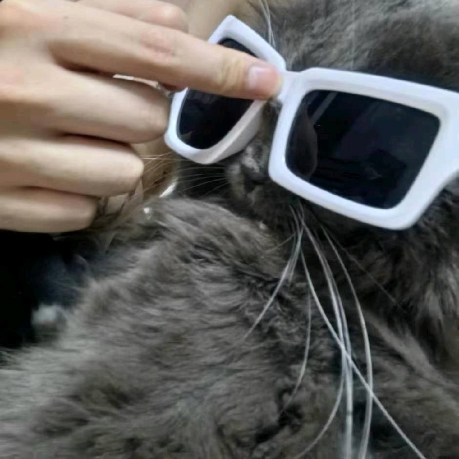 怎么还是你啊黄毛