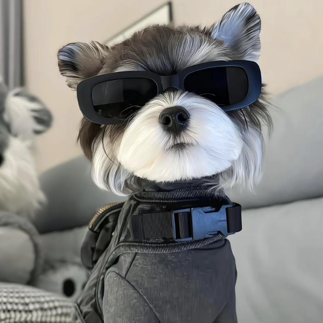 一丝布狗