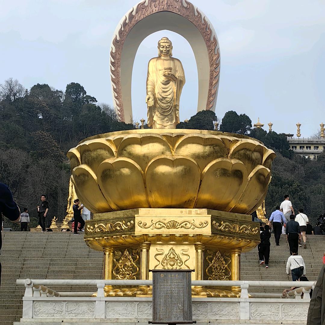 臻藏美食✨🛍️