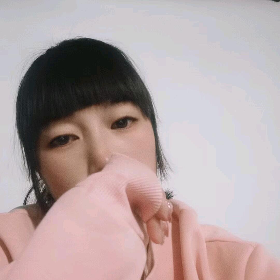 飞离晨雾的鸟