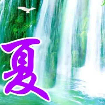 自由翱翔