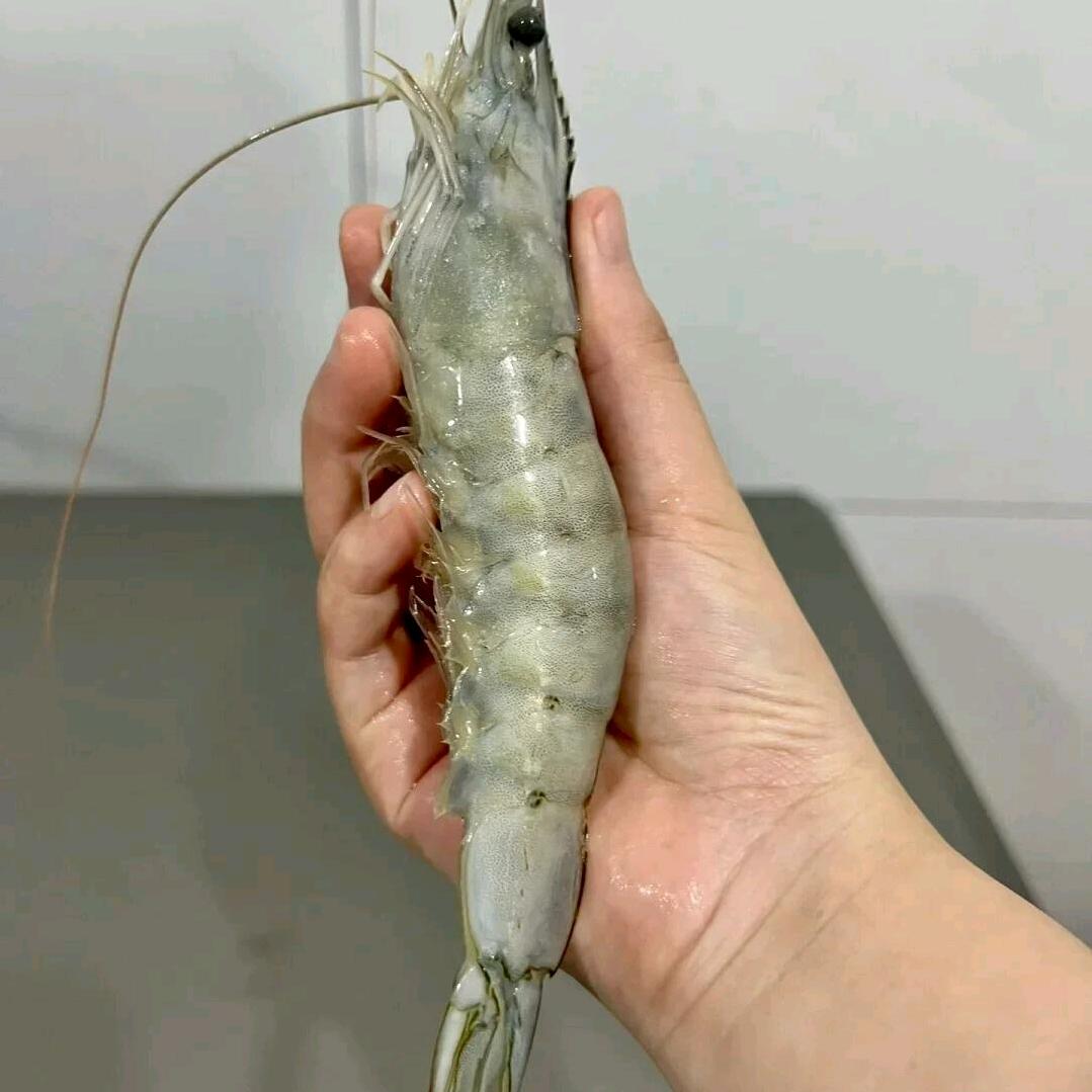臻鲜水产大虾