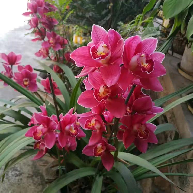 一米阳光