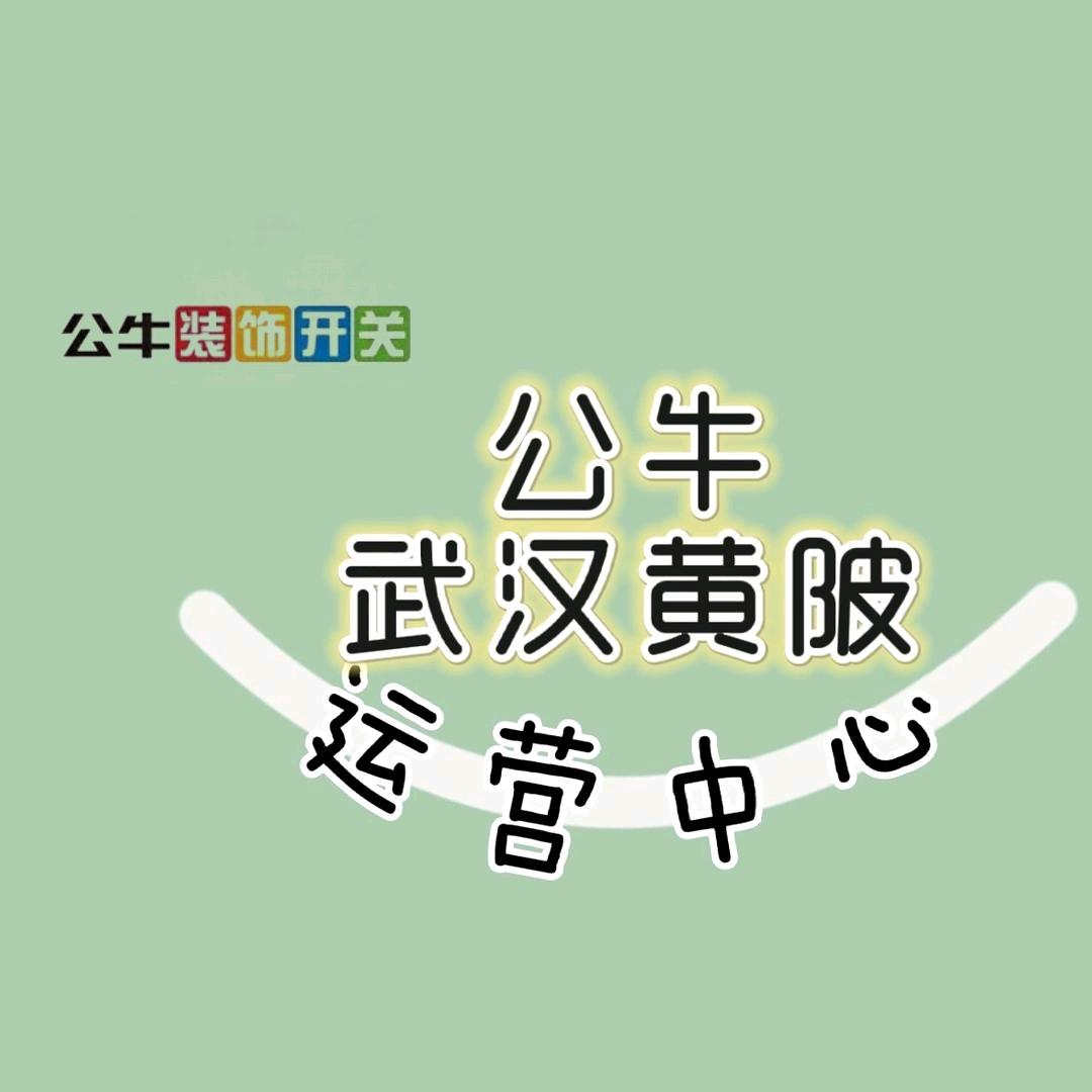 公牛装饰开关(双凤大道店)