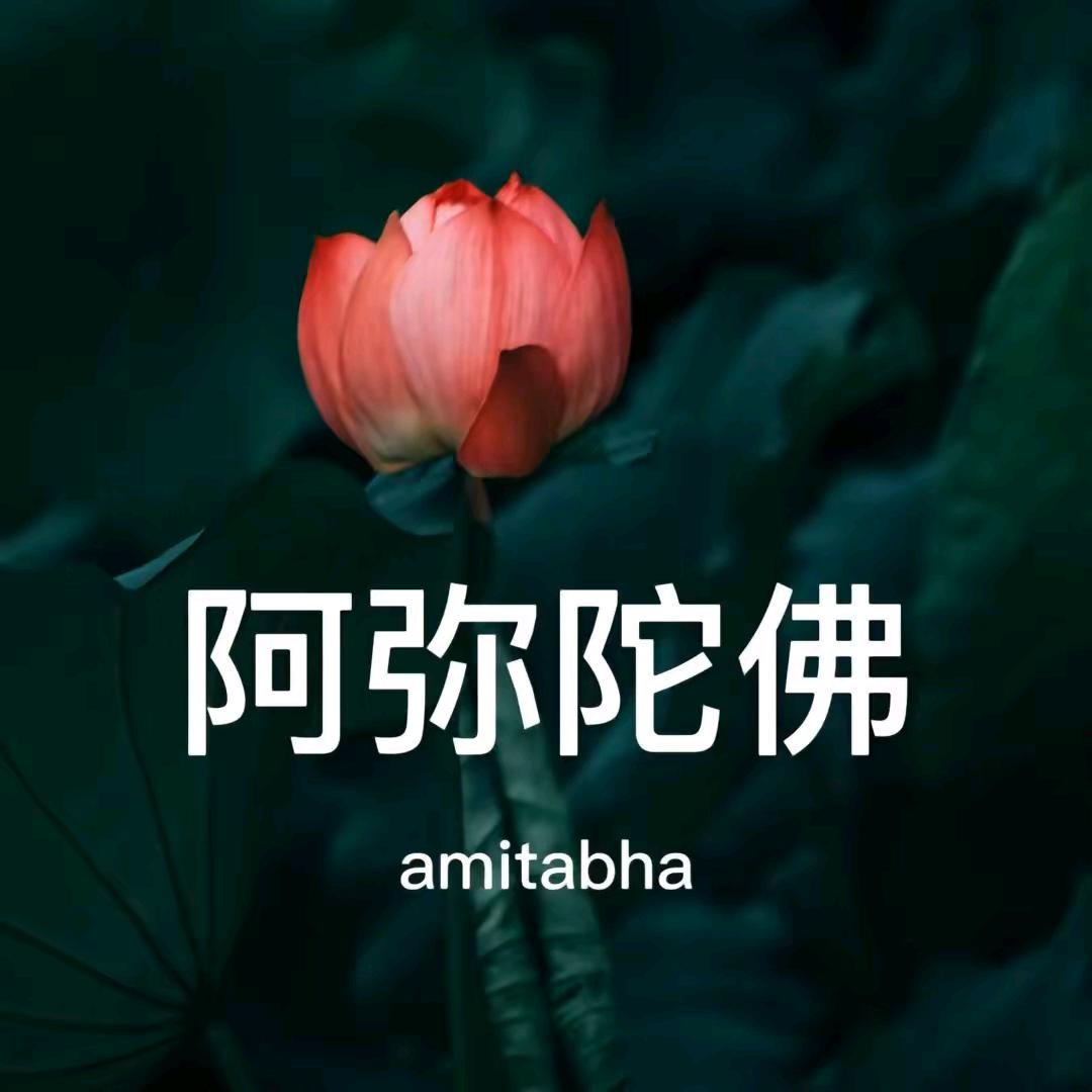 五行山下的老猴子