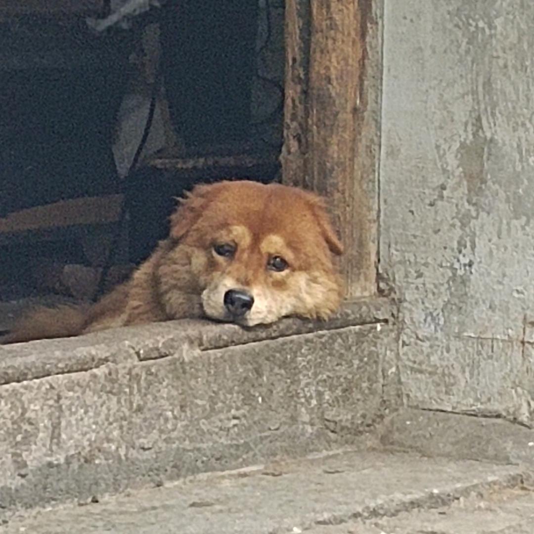 柒秒吃七顿