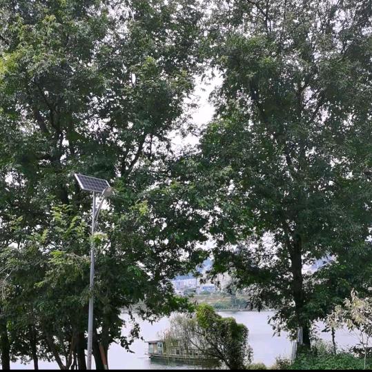 夕阳之歌🌈🎈