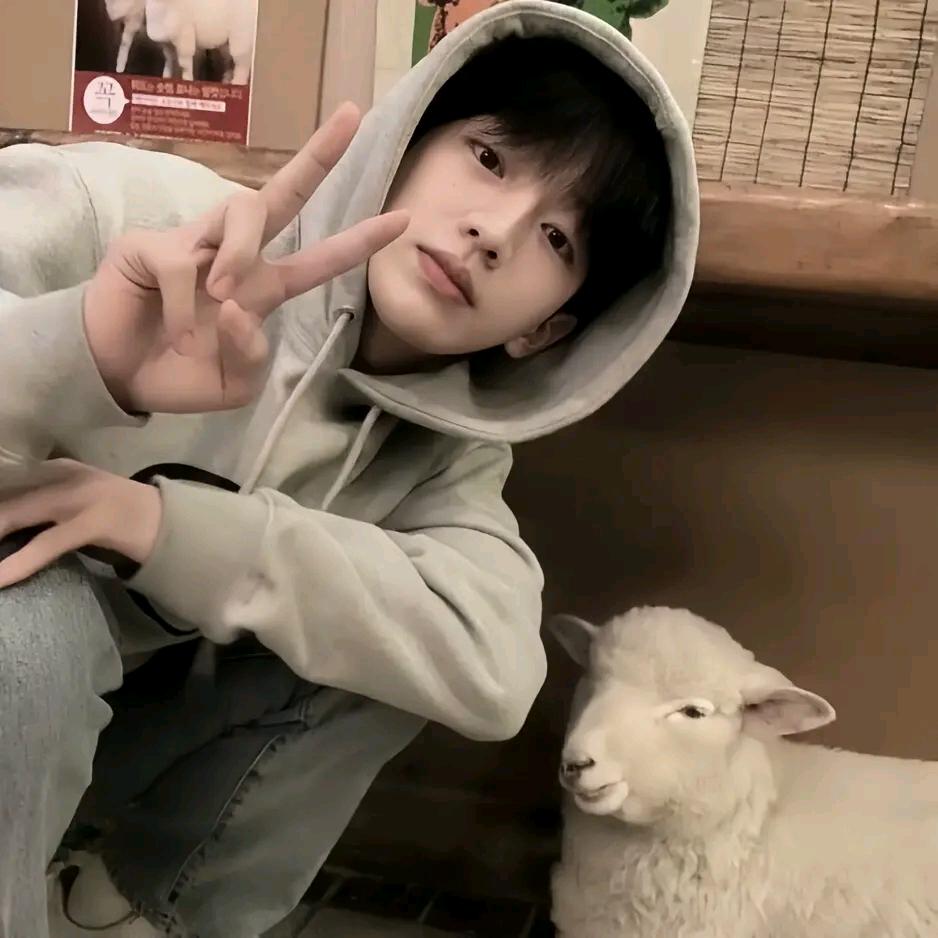 王者荣耀醨凡（市一露娜）