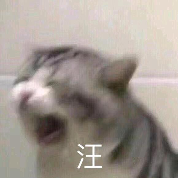 丢le的狗📷（重开版）