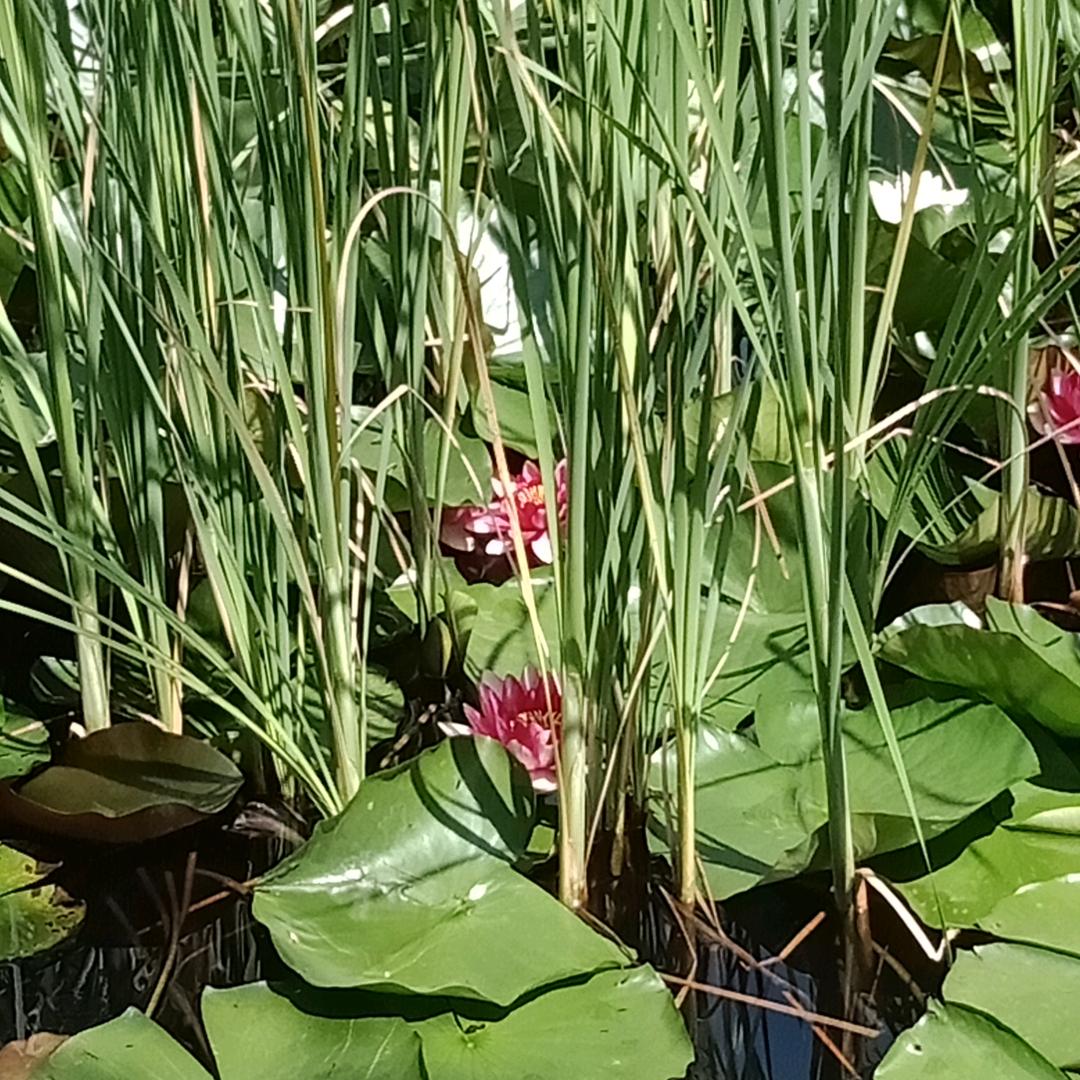 古荮山野户外