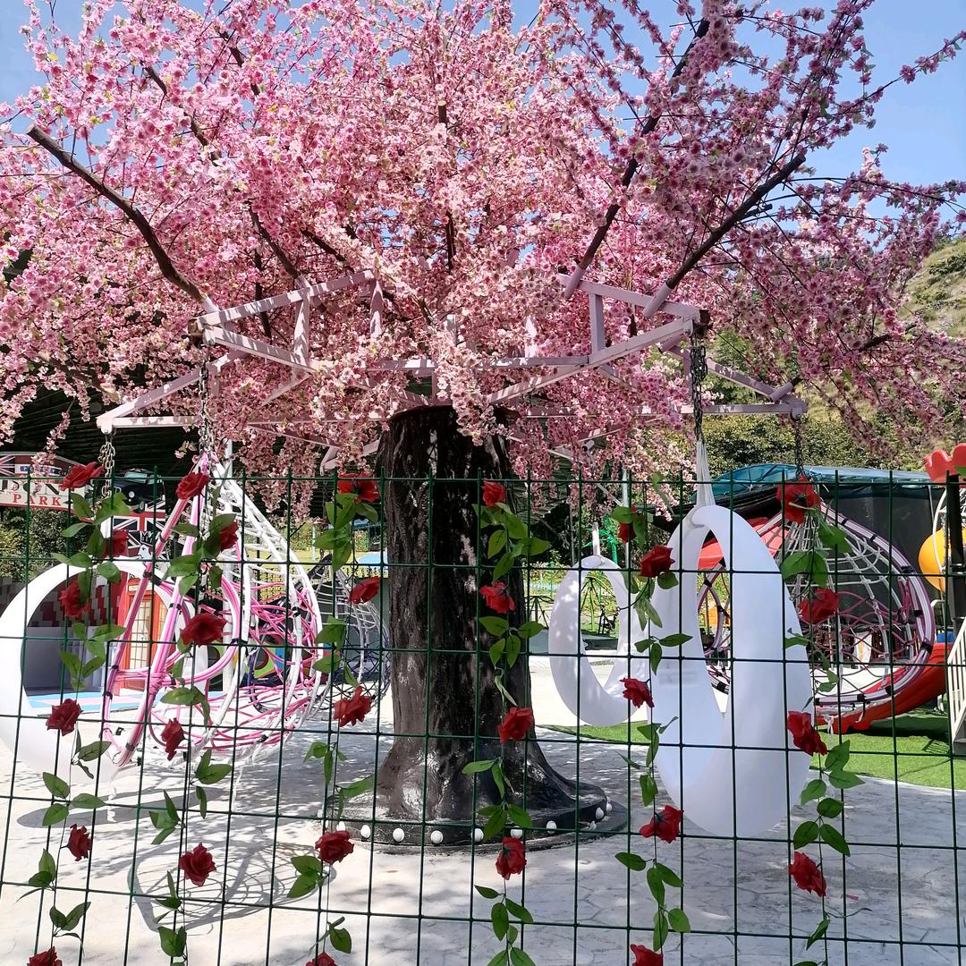 可否许我在少年