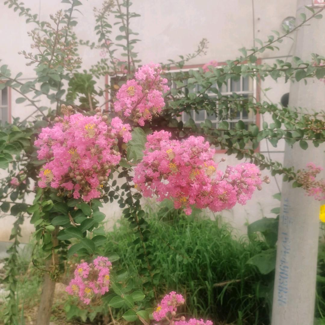 圆梦