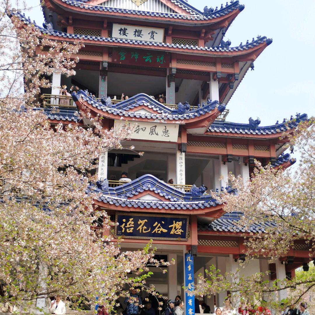 嘉世电子产品厂