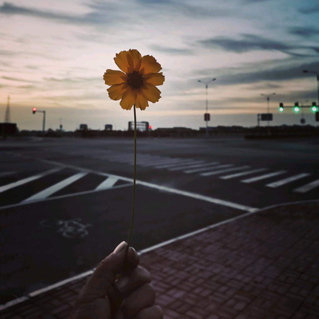 ᥫᩣ໌້ᮨ﹎孙先生✔…ོ