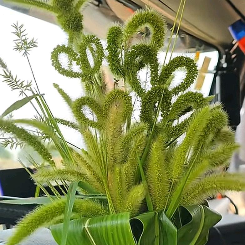 玉缘叙流年